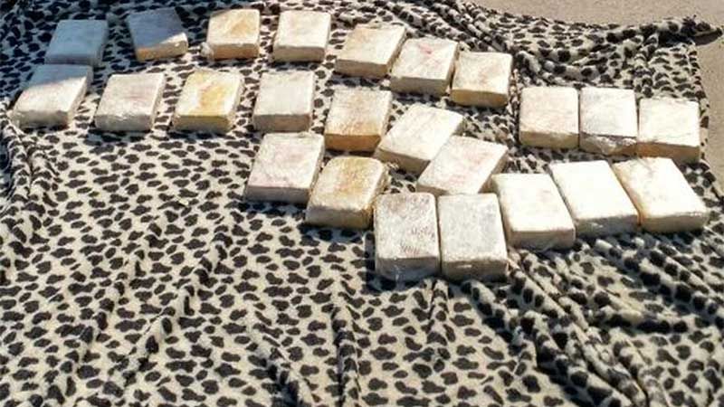 Incautan más de 30 kilogramos de cocaína en Salta - Diario Panorama de Santiago del Estero