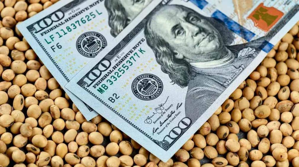 El dólar soja 3 aportó USD 154 millones - Diario Panorama Movil