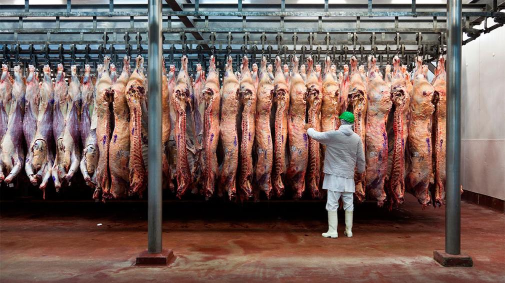 La carne argentina pierde terreno en China frente al avance brasileño