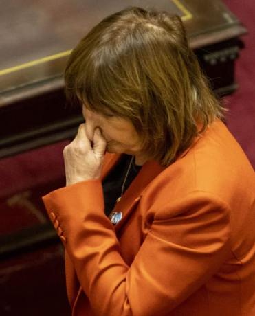 Giro en el Senado: tras la presión de sus aliados, el Gobierno retiró el capítulo sobre extranjerización de tierras