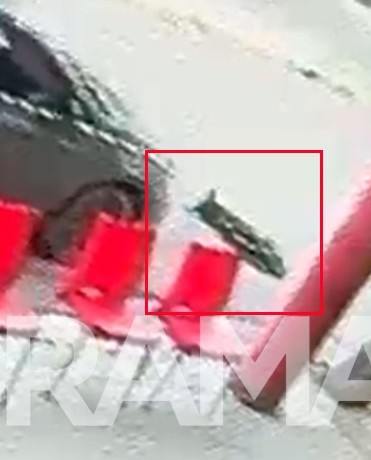 Video: un policía atropelló un perro y una mujer que intentó auxiliarlo sufrió la amputación de un dedo