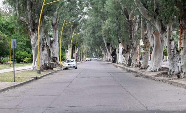 El domingo llegará con cielo nublado y una máxima de 20°C en Santiago