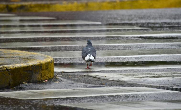 Santiago tendrá un amanecer frío y algunas lluvias aisladas durante la jornada