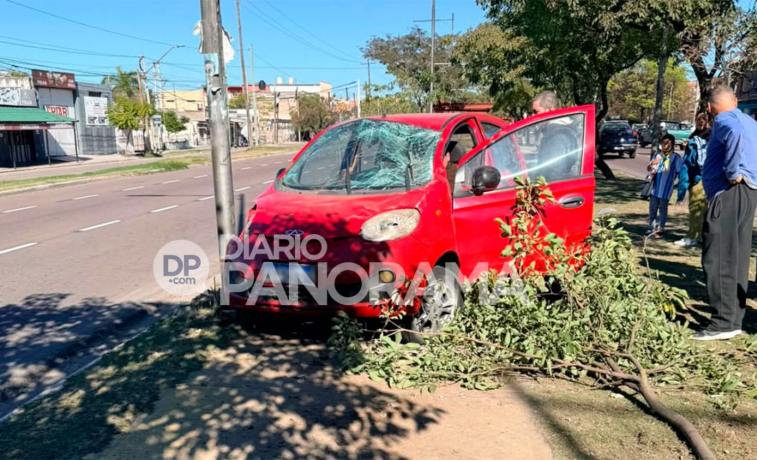Zona Sur: volcó y quedó en la platabanda de Avenida Belgrano