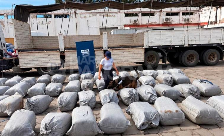 Secuestraron más de 1.600 kilos de hojas de coca valuados en $242 millones en Santiago del Estero
