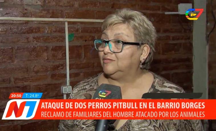 Ataque de pitbulls en barrio Borges: la familia de la víctima reclama justicia y el pago de los gastos médicos