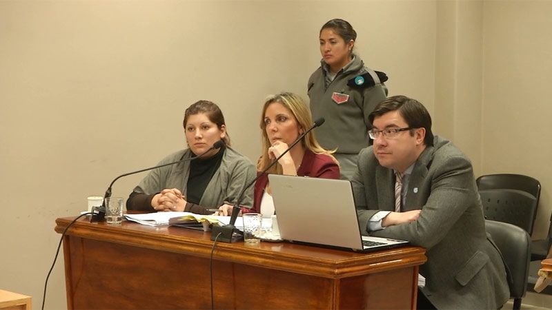 Juicio a la acusada de matar a sus dos hijas: Le correspondería cadena ...