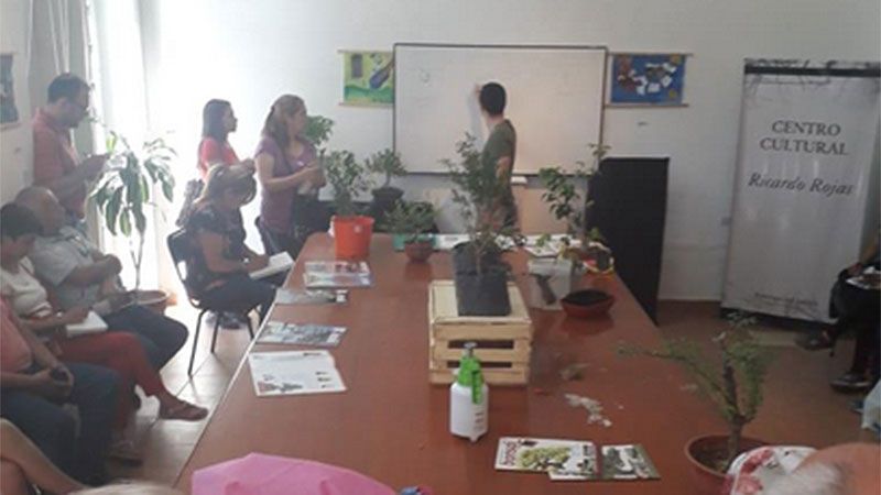El curso de Bonsai se realiza en el Centro Cultural Ricardo Rojas