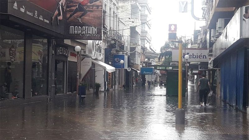 xxxxxxxxxxx xxxxxxxxxxxx