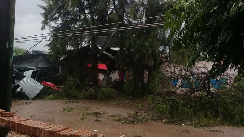 xxxxxxxxxxx xxxxxxxxxxxx