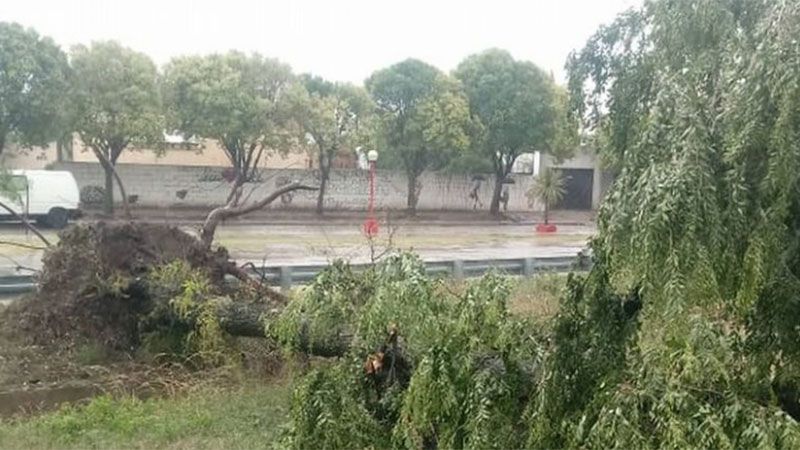 El temporal provocó importantes daños en la localidad cordobesa de Arroyo Cabral