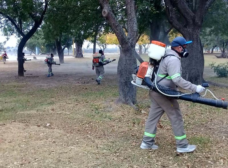 El municipio realizó una intensa tarea de fumigación en el parque ...