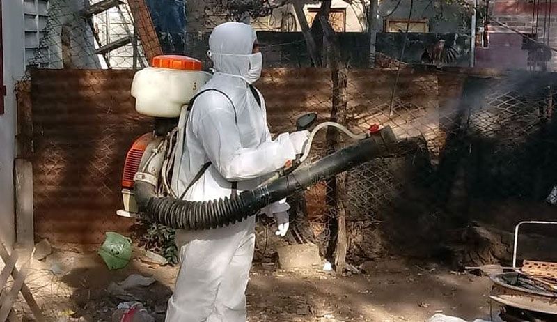 Intenso operativo de fumigación en el barrio Borges - Diario Panorama