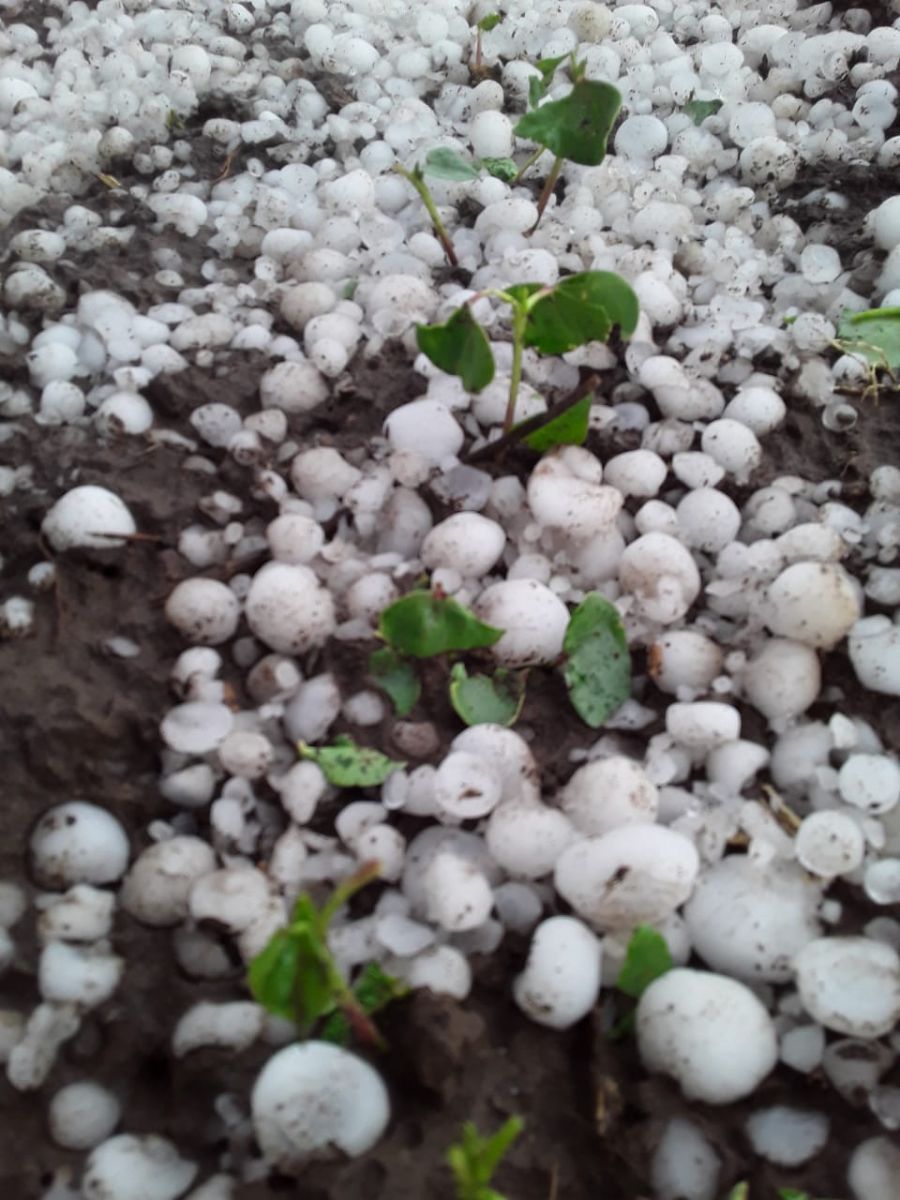 Granizo Colonia El Simbolar 