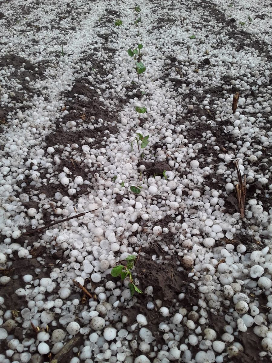 Granizo Colonia El Simbolar 