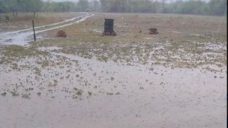 Lluvia en Añatuya 
