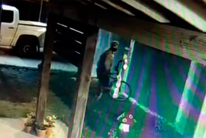 Robó en la casa de un empresario y quedó todo grabado en las cámaras de ...