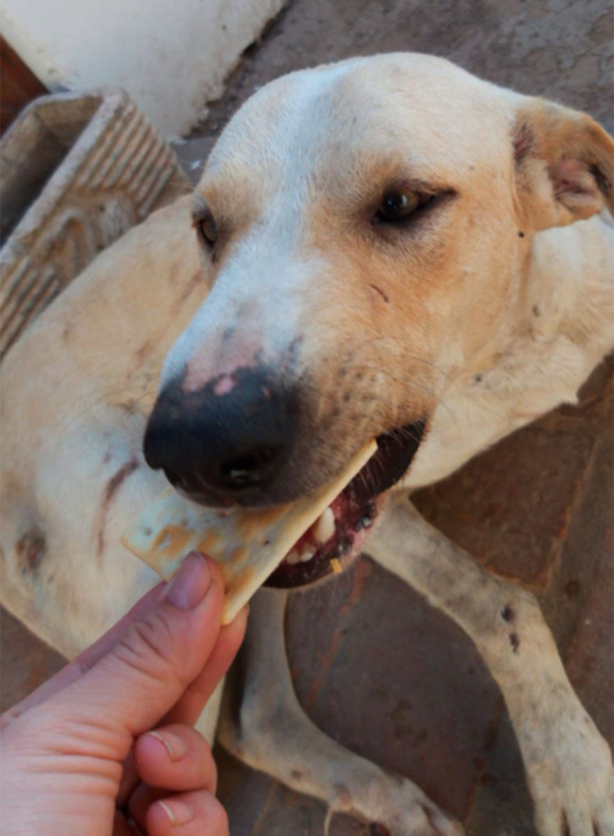 Mientras desayunaba esta mañana. 