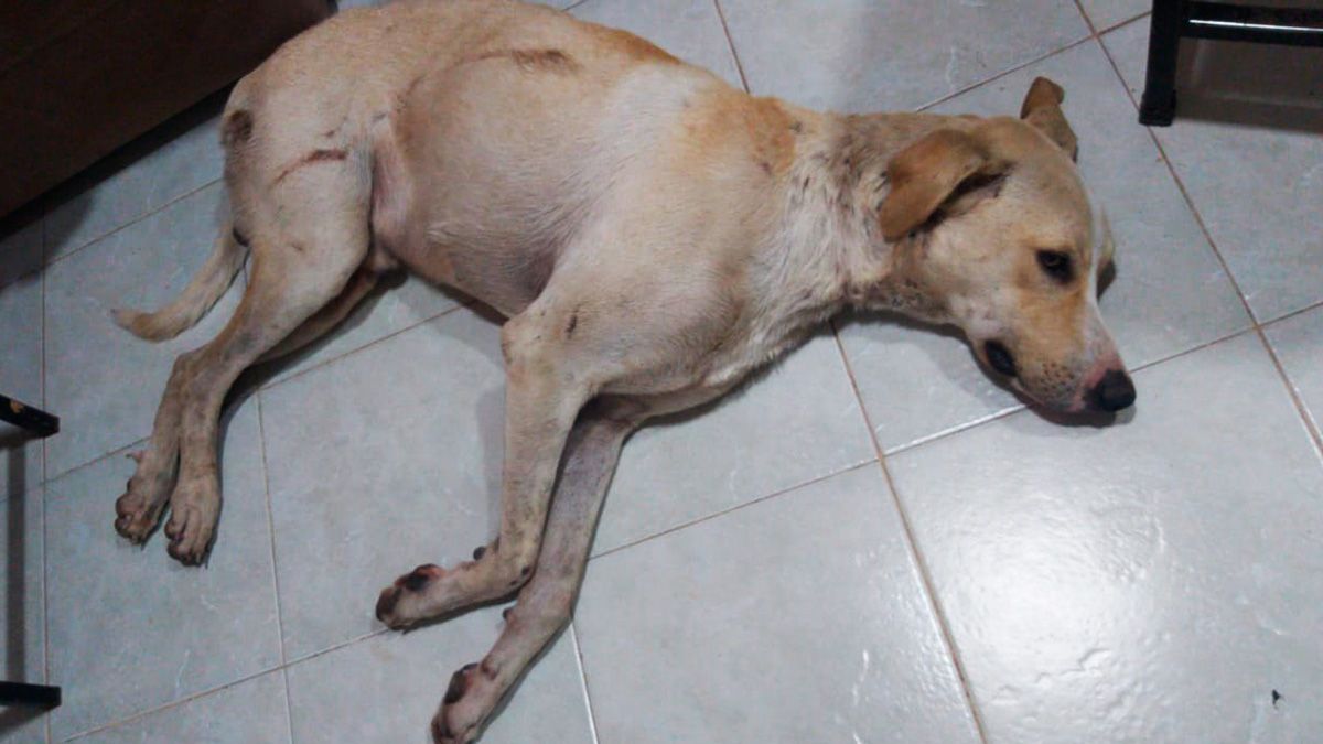 Descansando un poco. 