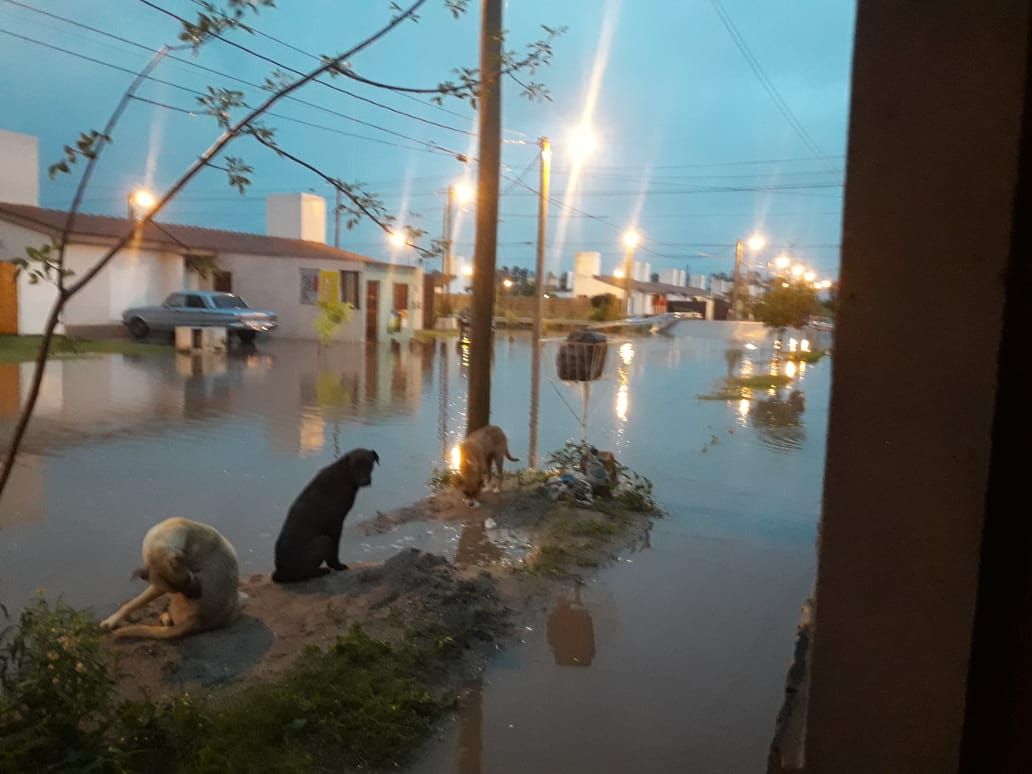 Fuerte temporal. 