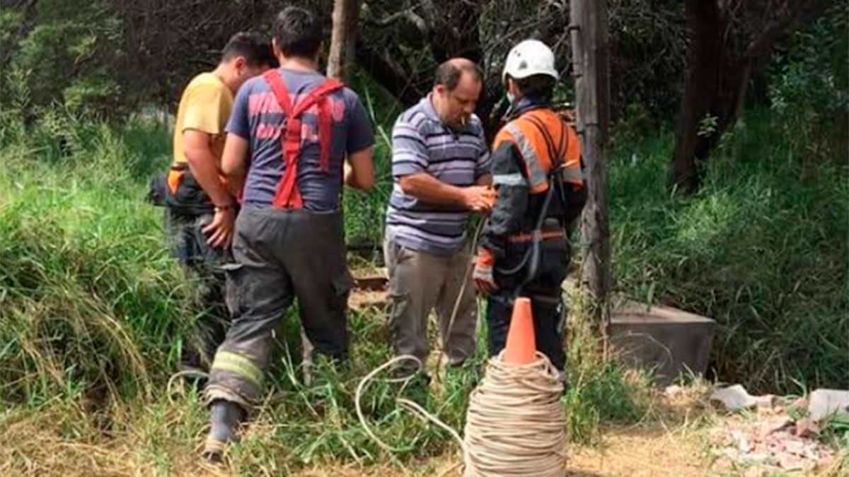 Los bomberos en pleno trabajo 