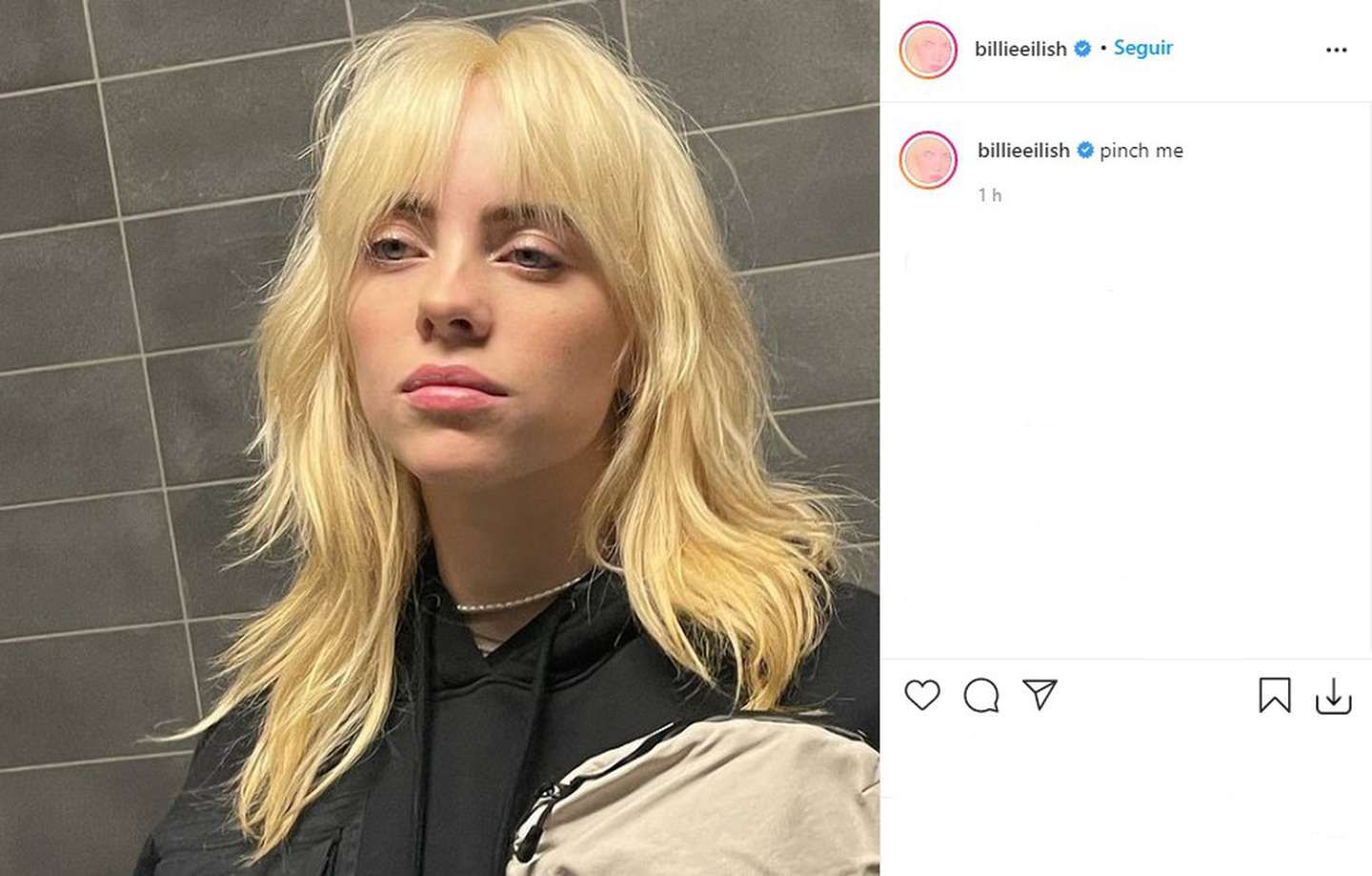 Billie Eilish Instagram. 