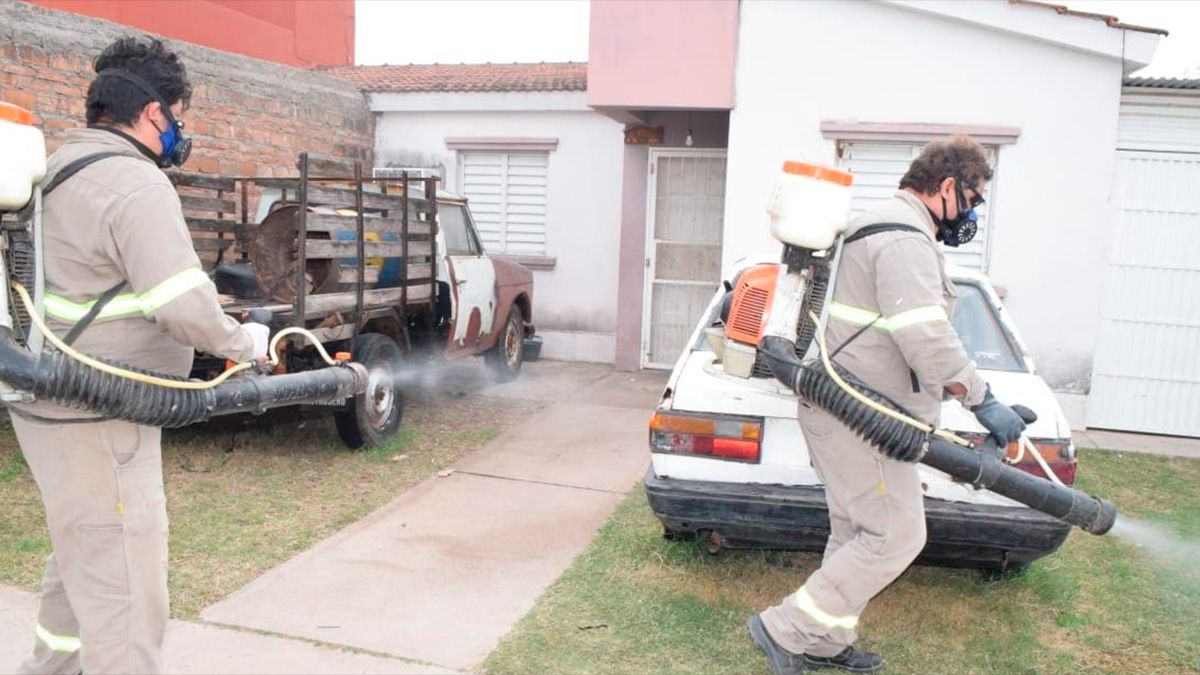 Calidad de Vida de Municipalidad fumigó en el barrio Villa del Carmen ...