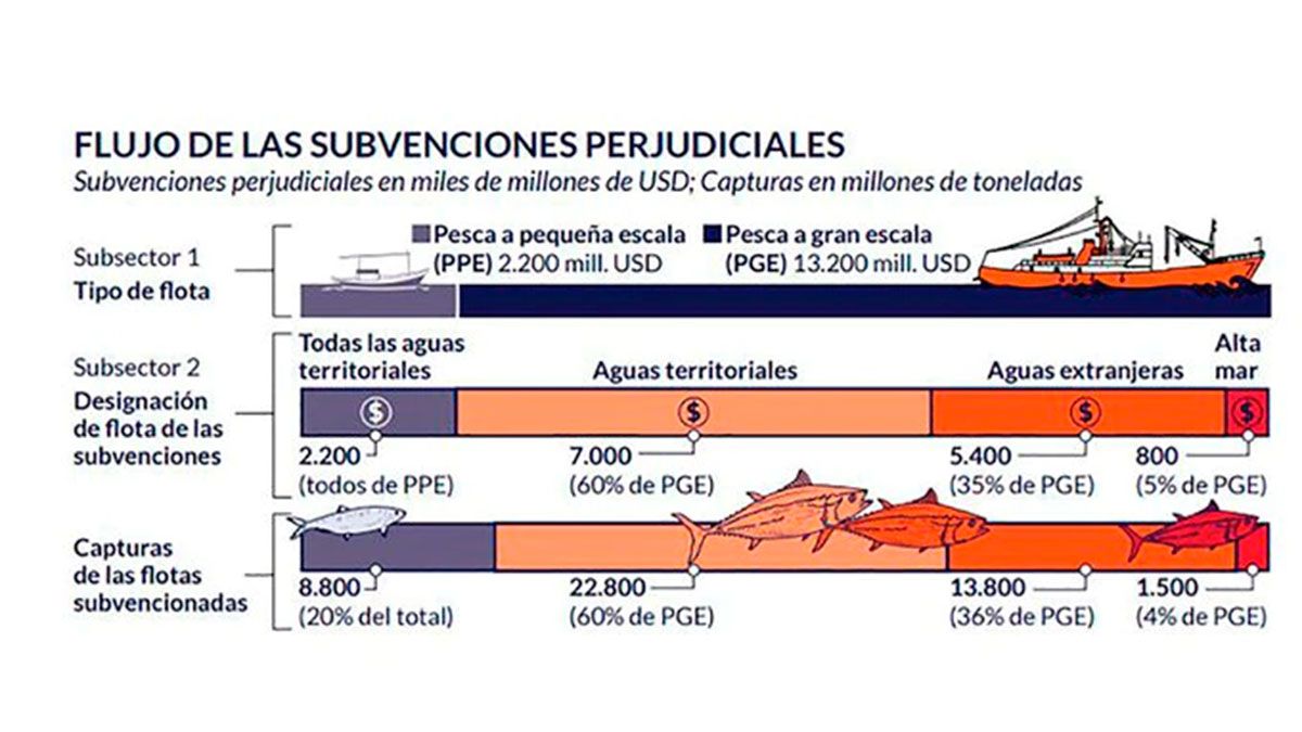 Subsidios y cantidades que capturan 