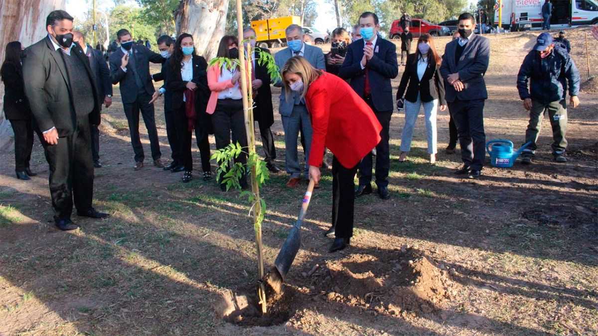 La intendente Norma Fuentes agradeció a las entidades que participaron en la plantación de los 5.000 árboles - Vimarsana News