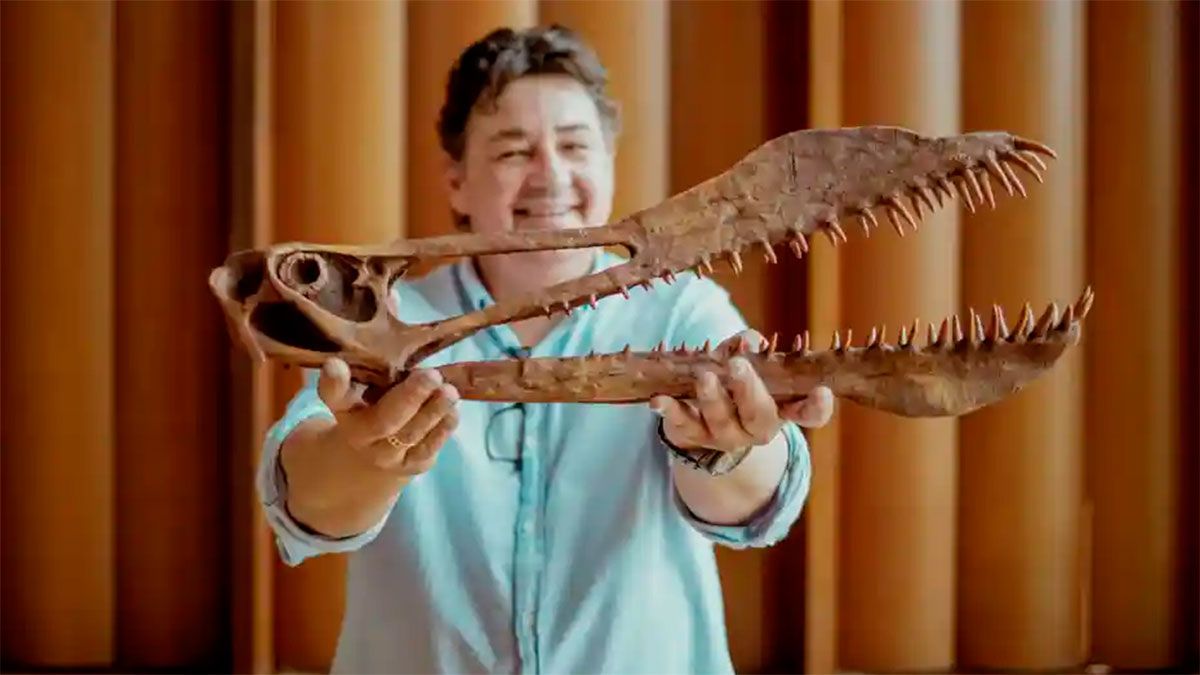 Recreación del cráneo 