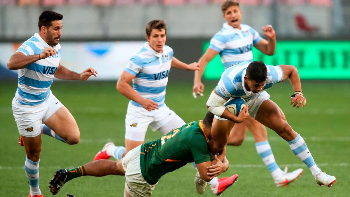 Los Pumas vuelven a verse las caras con los poderosos Springboks - Vimarsana News