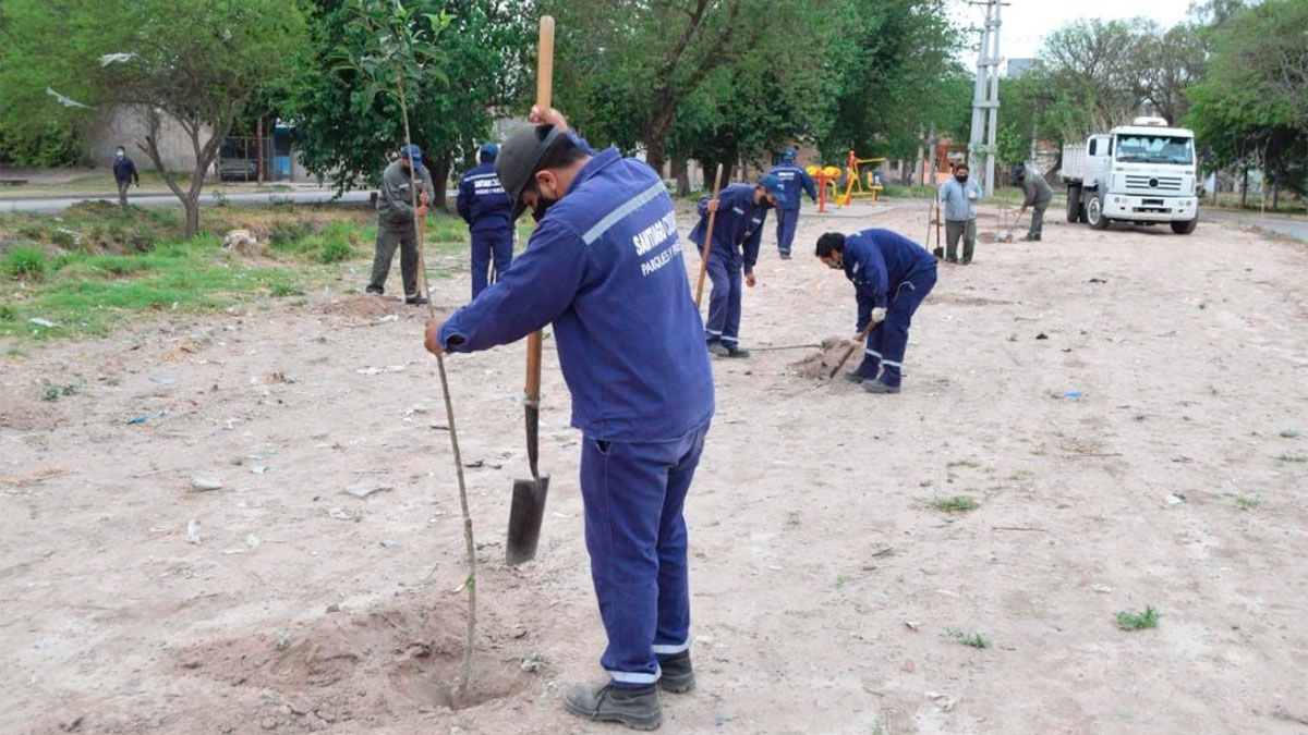 La Capital avanza con su programa de arbolado en el barrio Jorge Newbery - Vimarsana News