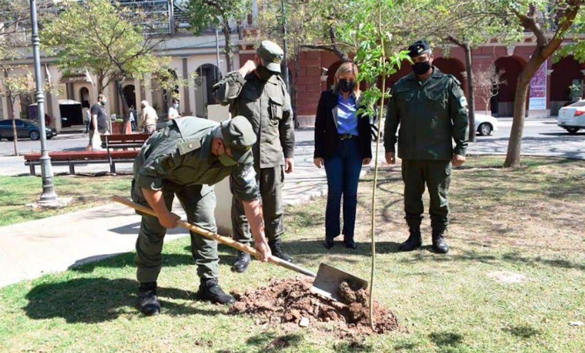 La intendente Fuentes y el jefe de gendarmería local plantaron árboles en una iniciativa que se ha extendido por América Latina - Vimarsana News