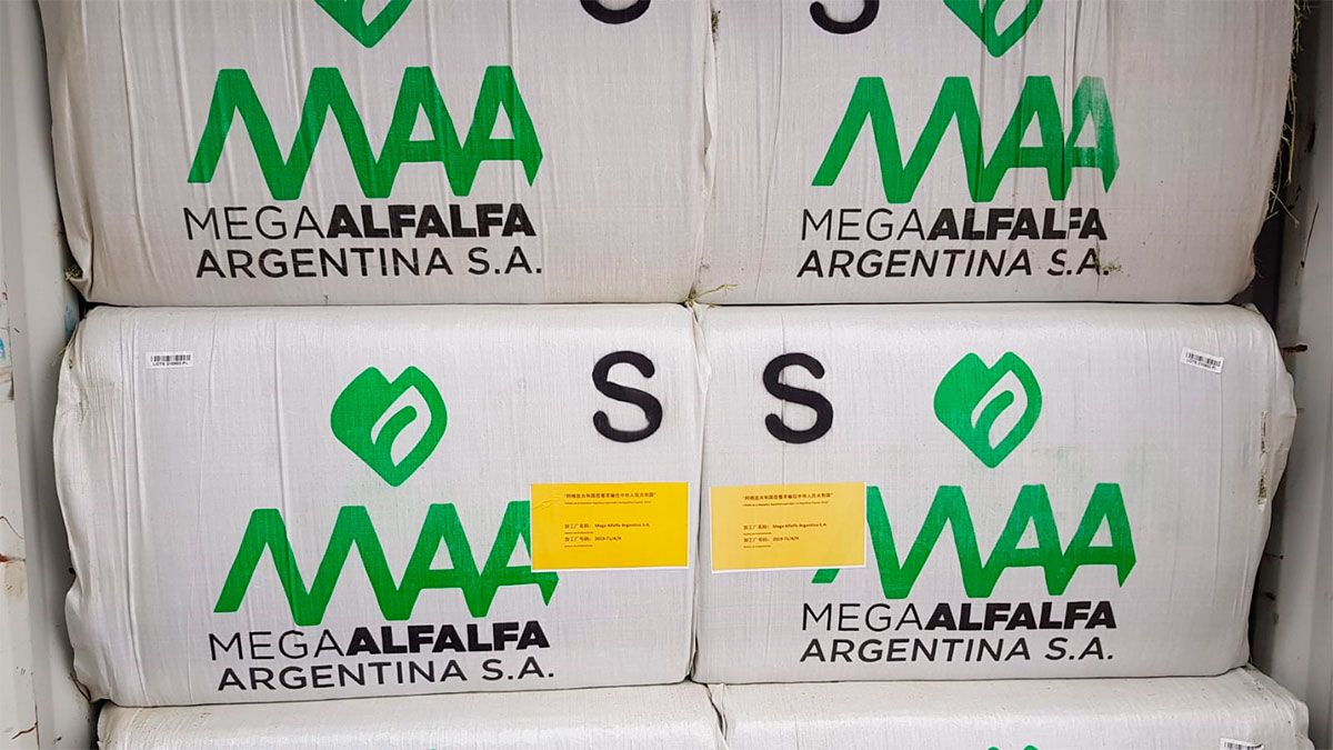 Mega Alfalfa Argentina exportó 600 toneladas de alfalfa deshidratada a