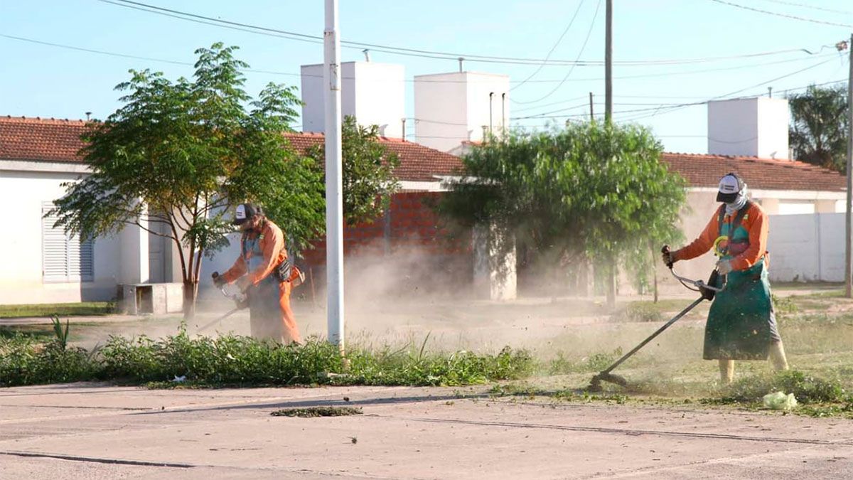 Intenso operativo de higiene, desmalezamiento y fumigación en el barrio ...