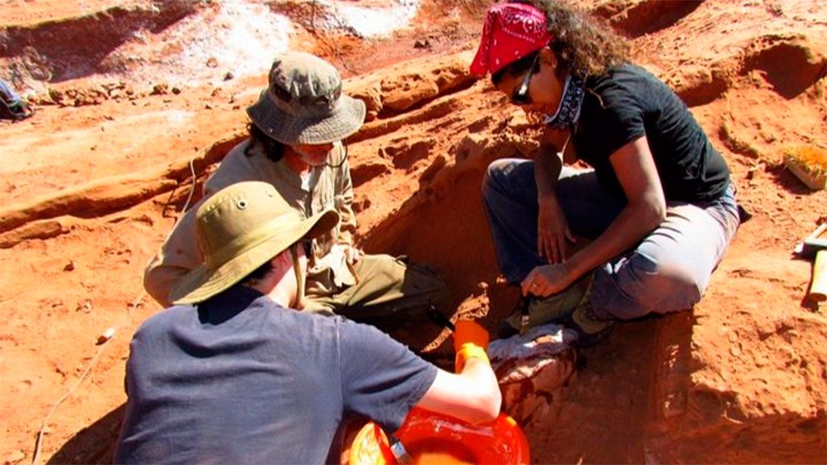 Científicos trabajando 