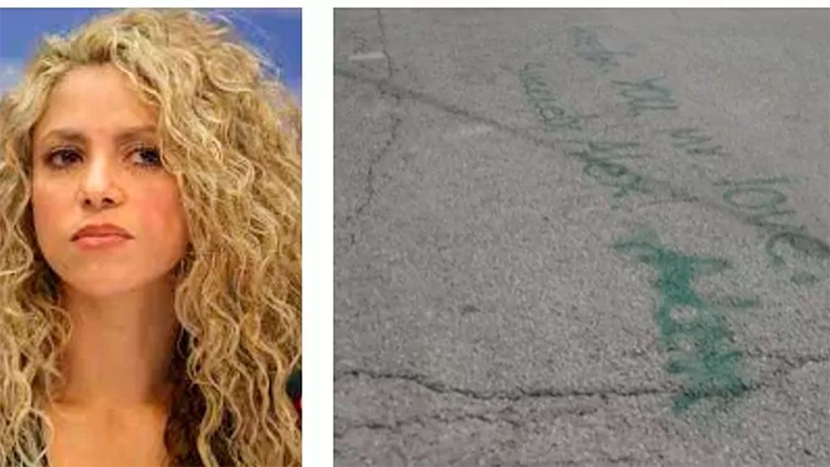Shakira pintadas 