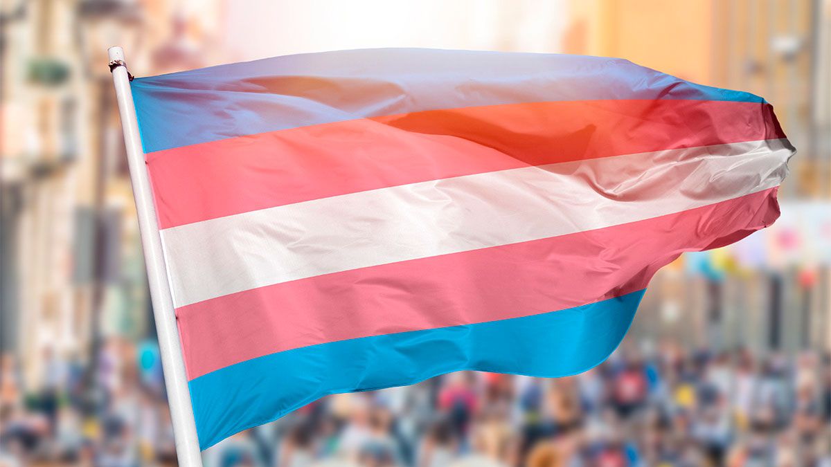 Bandera trans 