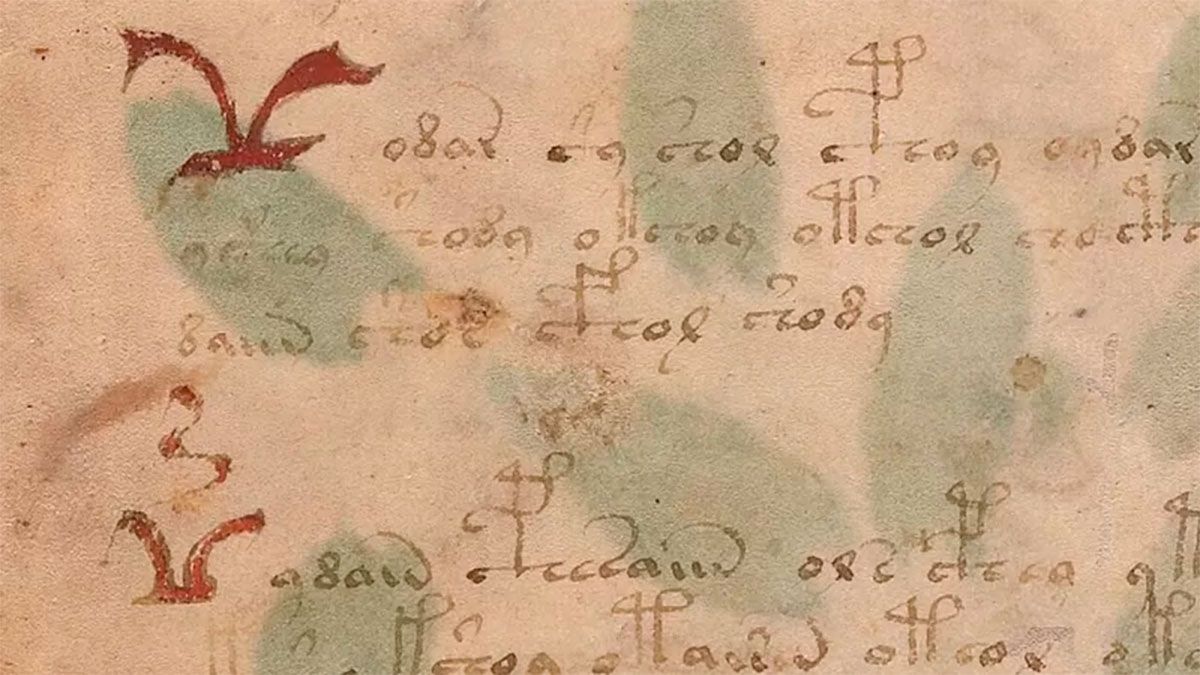 Los pájaros que inspiraron el símbolo de Primo de Belfegor en el Manuscrito Voynich 