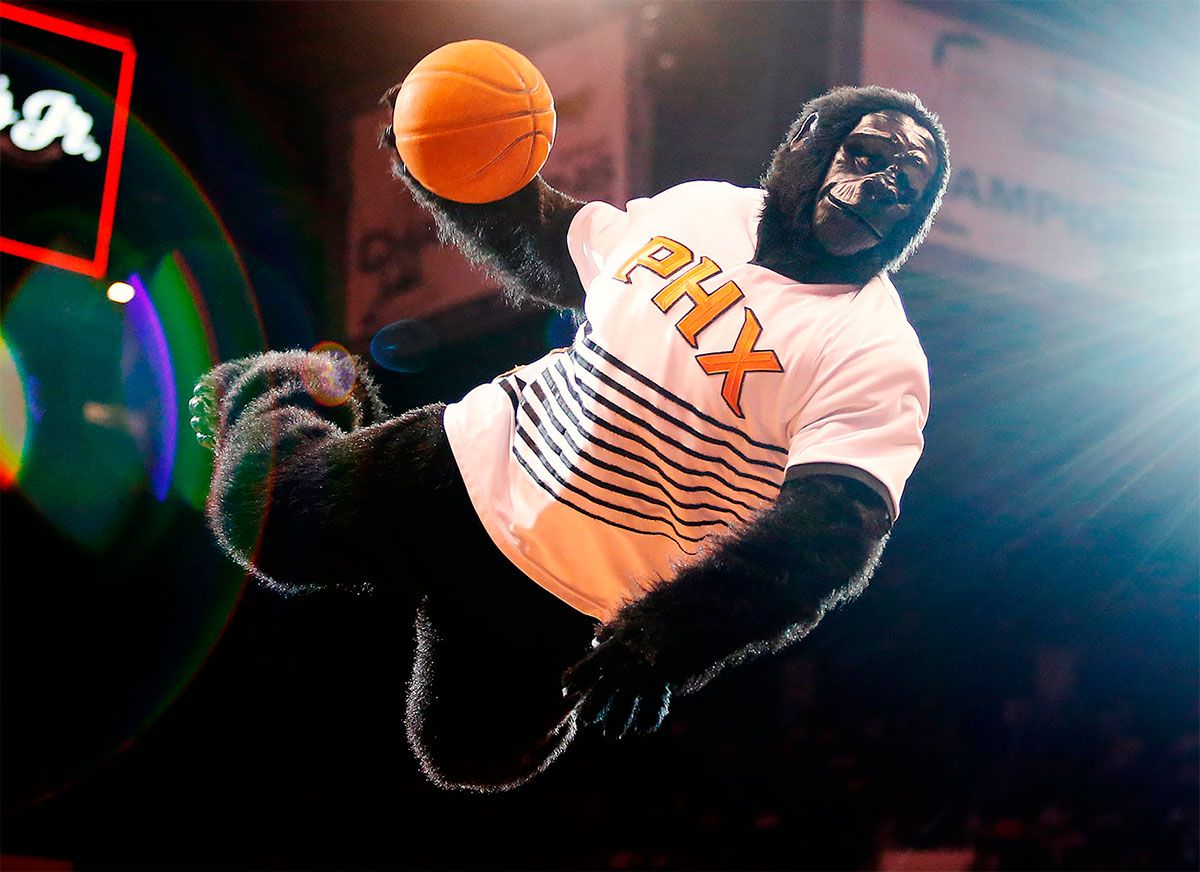 Go, el gorila de los Phoenix Suns 