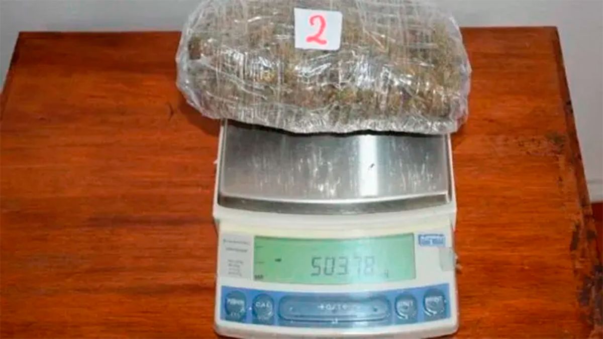 Secuestran marihuana y hojas de coca durante un procedimiento en Catamarca Diario Panorama