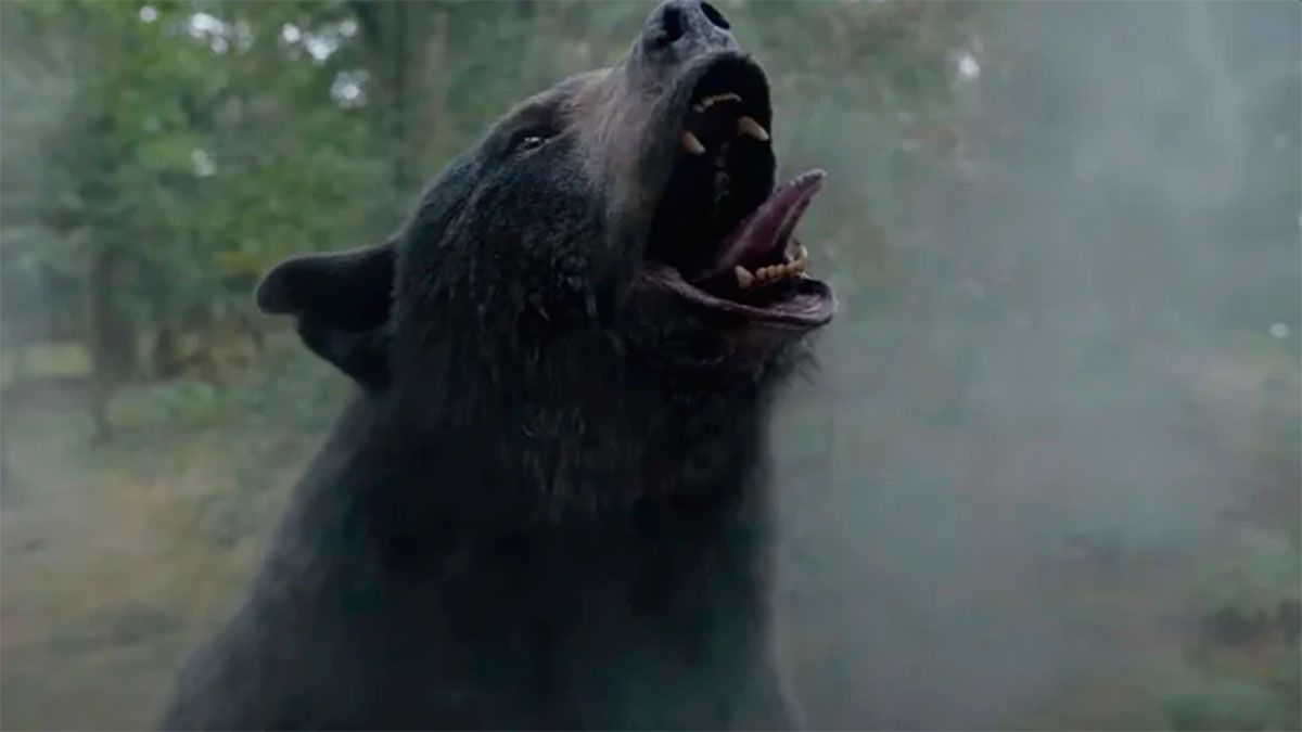 “Oso intoxicado” el caso real del oso que comió cocaína llega al cine