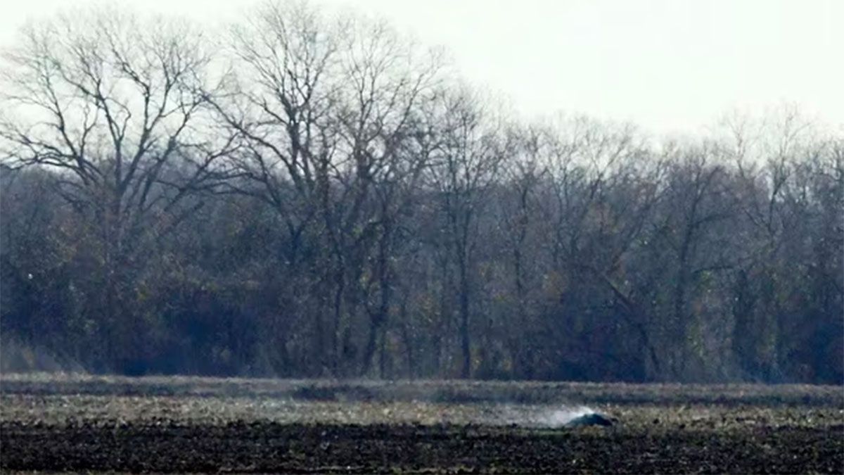 Restos en áreas boscosas 