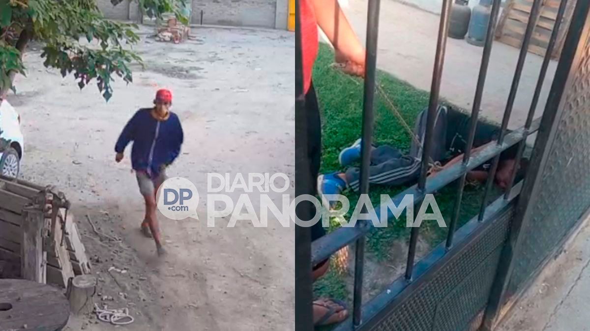 Video: vecinos del Bº Santa Rosa de Lima atraparon a un ladrón ...