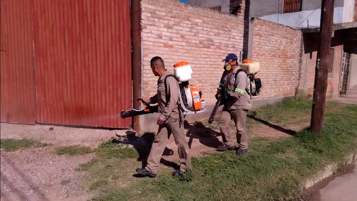 Informan sobre el nuevo cronograma de fumigación para los barrios ...