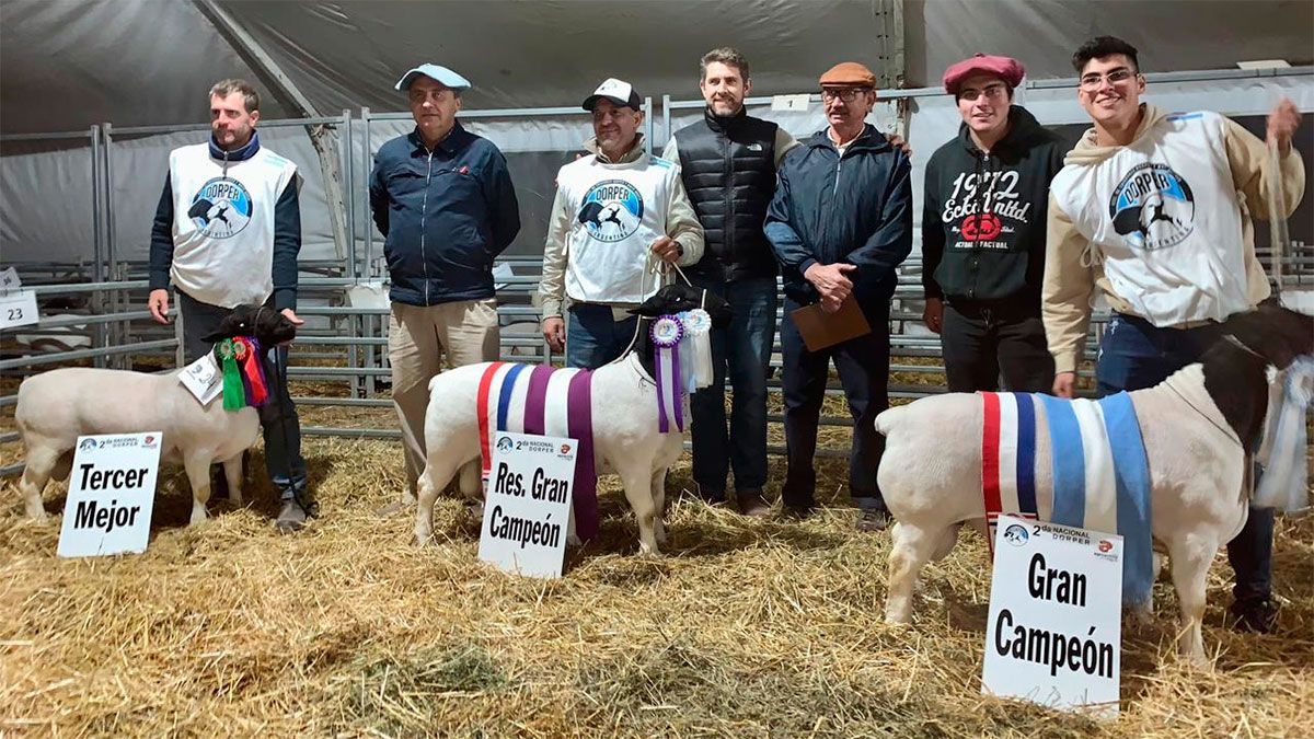 Podio de la 2ª Exposición Nacional de Dorper y White Dorper 