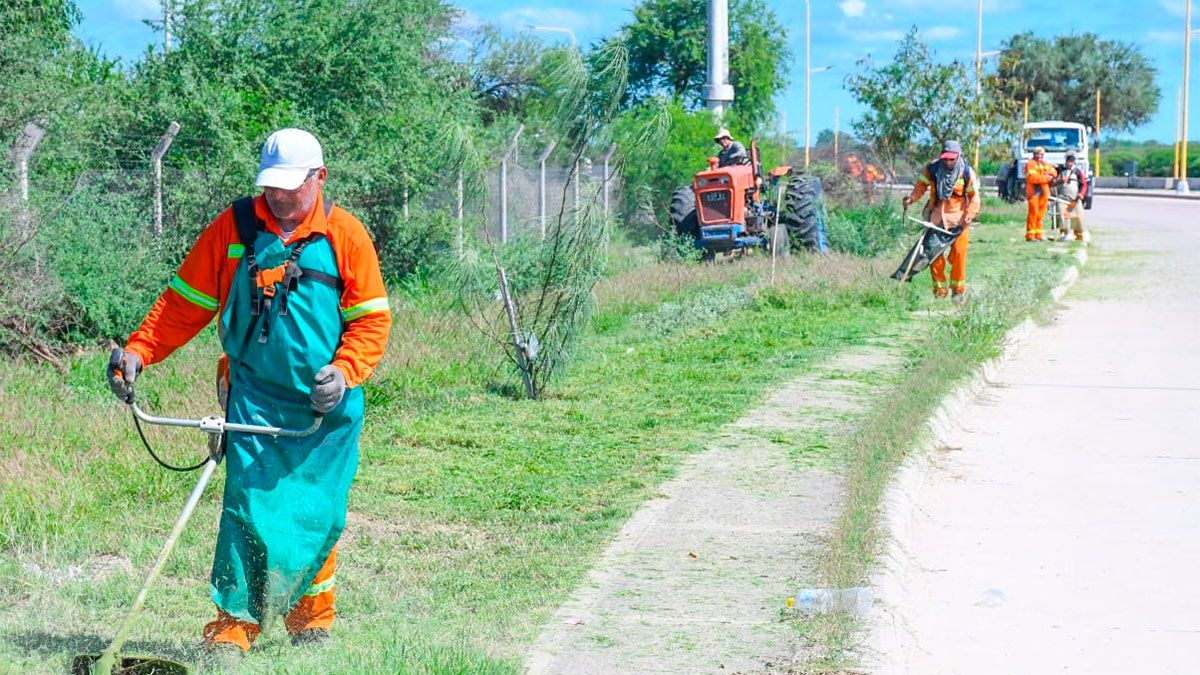 La Capital concretó un amplio operativo de desmalezamiento en la ...