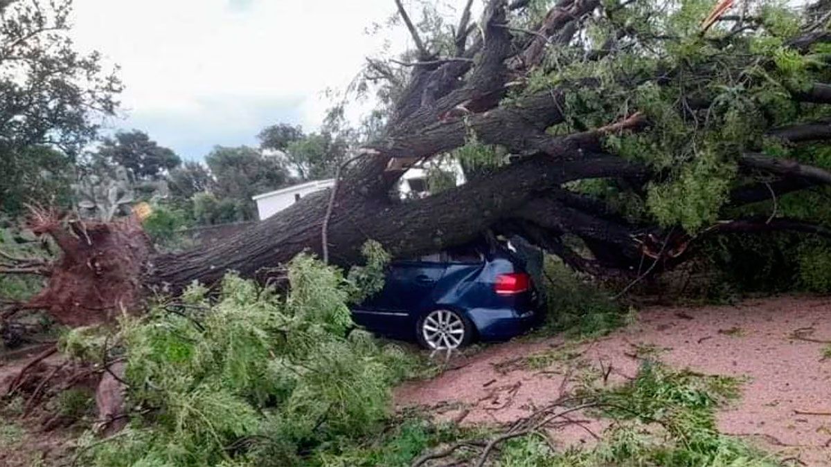 c-rdoba-la-cola-de-un-tornado-gener-destrozos-y-contin-a-la-alerta