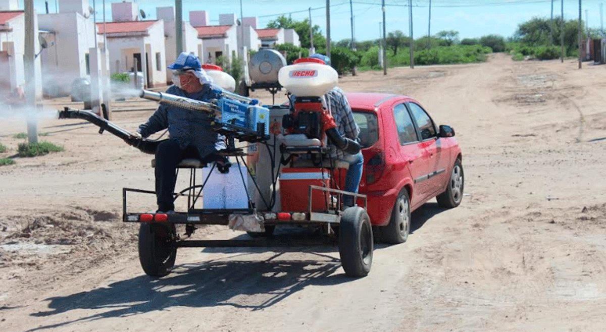 Profundizaron los operativos de fumigación en barrios de Colonia El ...