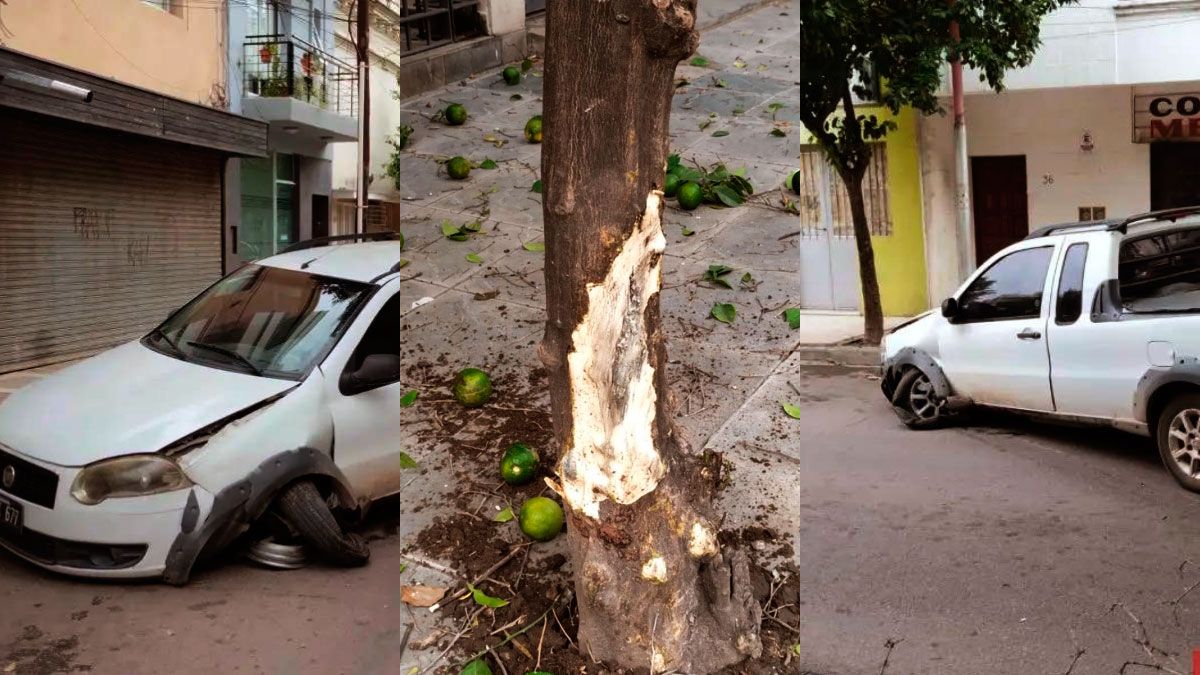 Perdió el control de la camioneta y chocó un árbol en pleno Centro ...